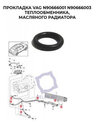 Прокладка VAG N90666001 N90666003 теплообменника, масляного радиатора