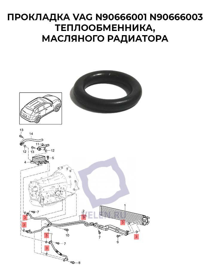 Прокладка VAG N90666001 N90666003 теплообменника, масляного радиатора